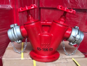 Đầu trụ chữa cháy 2 cửa D65