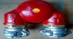 Họng chữa cháy tiếp nước TQ 2 cửa