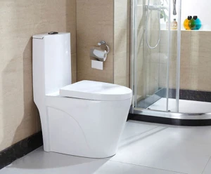 Bàn Cầu Forlard T01