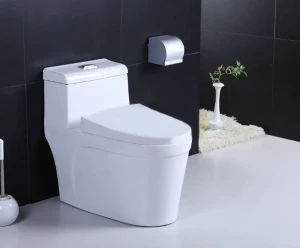 Bàn Cầu Forlard T02