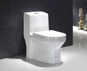 Bàn Cầu Forlard T06