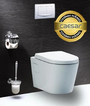 Bàn cầu thùng nước âm CPT1503