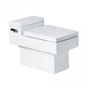 Bàn Cầu COTTO C10317 Một Khối Quado Xả Gạt