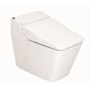 Bàn Cầu Điện Tử American Standard Acacia E WP-1806