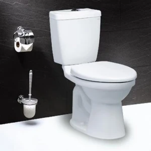 Bồn Cầu CAESAR CT1325 2 Khối 1 Nhấn Nắp Thường