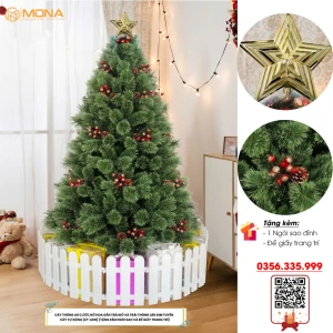 Cây Thông Noel A6 Cước Nở Hoa Gắn Trái Đỏ Và Trái Thông