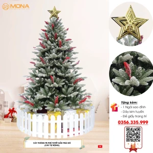 Cây Thông Noel PE Phủ Tuyết Gắn Trái Đỏ