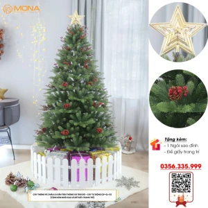 Cây Thông PE 2 Màu Lá Gắn Trái Thông Và Trái Đỏ Cây Thông PE 2 Màu Lá Gắn Trái Thông Và Trái Đỏ Giá Rẻ
