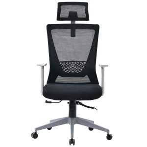 Ghế Văn Phòng Công Thái Học ECOOC-2108 Đen