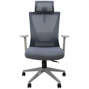 Ghế Văn Phòng Công Thái Học ECOOC-2108 Xám