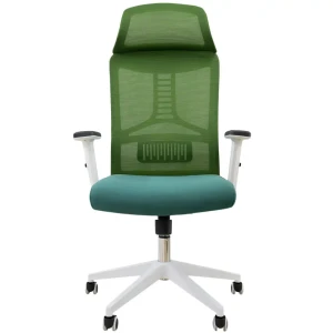 Ghế Văn Phòng ECOOC-2204W Xanh