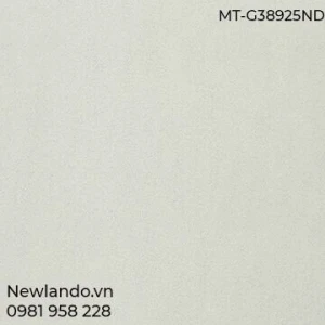 Gạch lát nền Taicera KT 300 300 MT-G38925ND