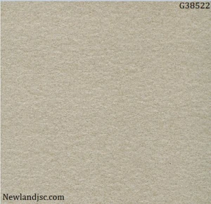 Gạch lát nền Taicera KT 300x300mm MT-G38522