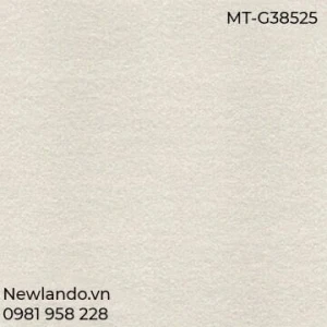 Gạch lát nền Taicera KT 300x300mm MT-G38525
