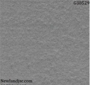 Gạch lát nền Taicera KT 300x300mm MT-G38529