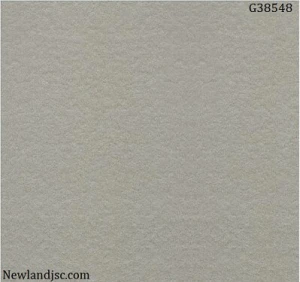 Gạch lát nền Taicera KT 300x300mm MT-G38548