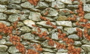 Giấy Dán Tường Hàn Quốc Giả Đá 3D Assemble MS:  40106-2