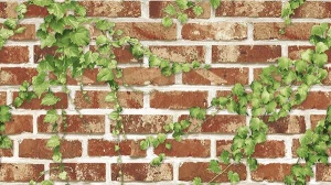 Giấy Dán Tường Hàn Quốc Giả Gạch Có Lá MS: 40105-1