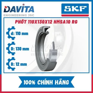 Phớt d=110mm HMSA10 RG