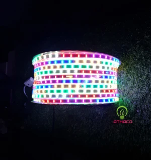 Đèn Led Dây Đuổi Màu 2 Hàng Bóng Cuộn 100M