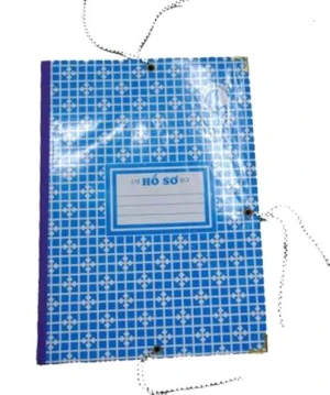 Bìa 3 dây Thảo Linh 15cm