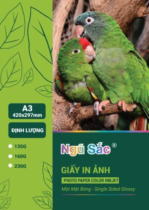 Giấy in ảnh Ngũ Sắc A3 1 mặt 230gsm 50 tờ