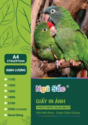 Giấy in ảnh Ngũ Sắc A4 1 mặt 135gsm 100 tờ