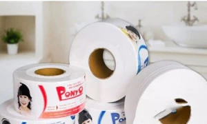 Giấy Ponyo JB caro 700gr