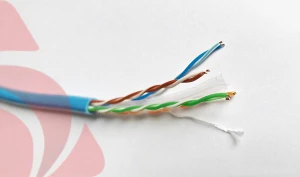 Cáp mạng 4 đôi Cat UTP 6 100% Cu ALTEK KABEL
