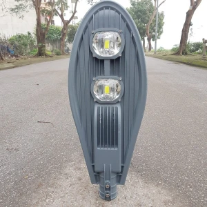 Đèn đường LED 100W hình lá 2 mắt KAVIN