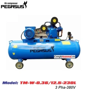 Máy Nén Khí Pegasus TM-W-0.36/12.5-230L(380V)