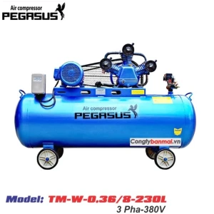 Máy nén khí Pegasus TM-W-0.36/8-230L(380V)