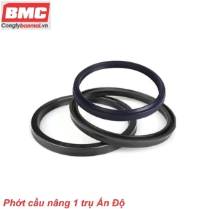 Phớt cầu nâng 1 trụ rửa xe ô Tô Ấn Độ