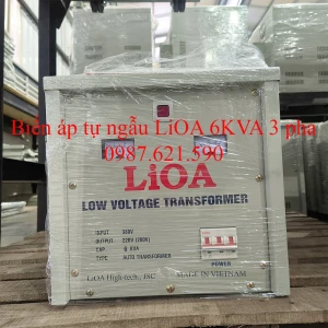Biến Áp 3 Pha 380V/ 220V 6KVA 3K600M2YH5YT Tự Ngẫu