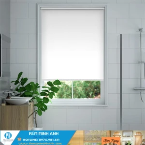 Rèm cuốn văn phòng | 300 mẫu rèm màn cuốn đẹp giá rẻ