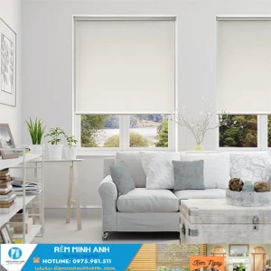 Rèm cuốn văn phòng | 300 mẫu rèm màn cuốn đẹp giá rẻ