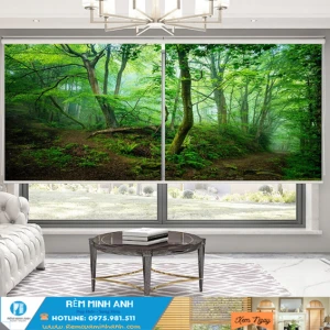 Rèm Cuốn Tranh, Rèm Cuốn In Tranh 3D Đẹp + Giá Siêu Rẻ