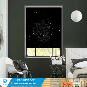 Rèm lọt sáng - rèm đẹp Hàn Quốc | rèm cửa Minh Anh