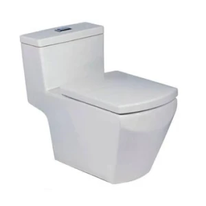 Bồn cầu 1 khối COTTO C10717 nắp êm