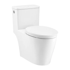 Bồn cầu 1 khối COTTO C110517 nắp êm dòng Harmony