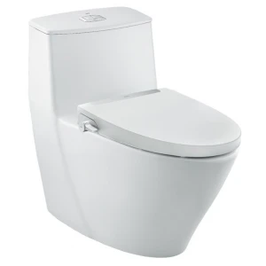 Bồn cầu 1 khối nắp rửa cơ INAX AC-919R + CW-S32VN