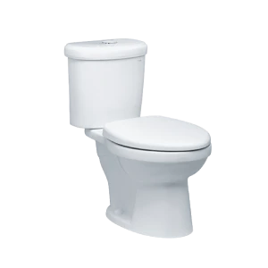 Bồn cầu 2 khối Caesar CTS1338 nắp êm