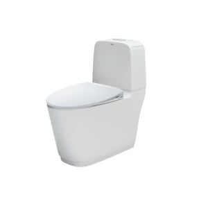 Bồn cầu 2 khối nắp rửa cơ INAX AC-832 + CW-S15VN