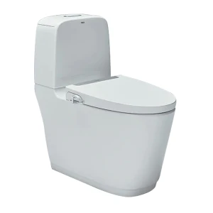 Bồn cầu 2 khối nắp rửa cơ INAX AC-832 + CW-S32VN