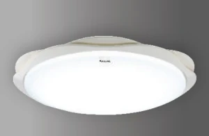 Đèn Trần 55W 3000K/6500K