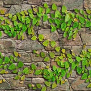 Gạch Granite Men Mờ Lát Sân Vườn 30*60cm 3060GREENERY004