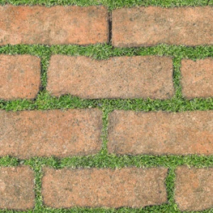 Gạch Granite Men Mờ Lát Sân Vườn 30*60cm 3060GREENERY008