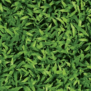 Gạch Granite Men Mờ Lát Sân Vườn 40*40cm 4040CLG001