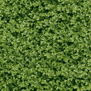 Gạch Granite Men Mờ Lát Sân Vườn 40*40cm 4040THESEA001