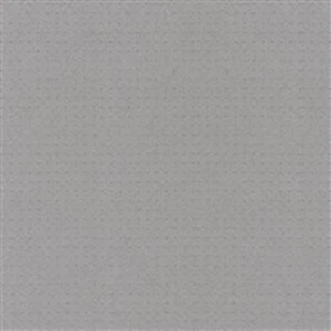 Gạch lát nền chống trơn Taicera 300x300 màu đen nhám G3848M3